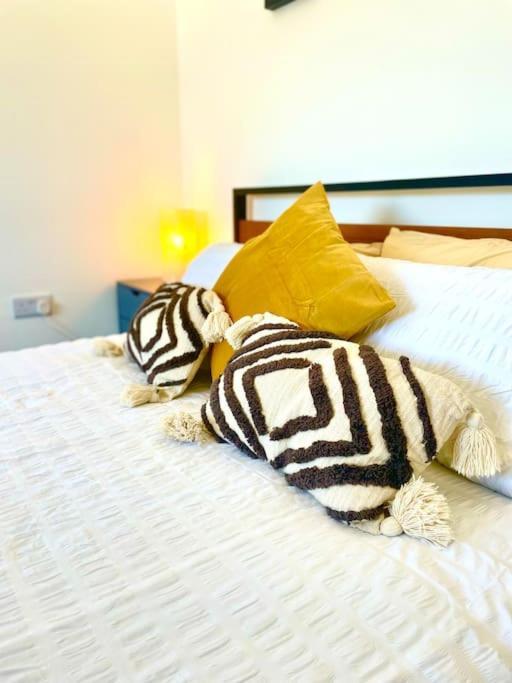 Modern Chic Summer Holiday Retreat. Newquay  Exterior photo